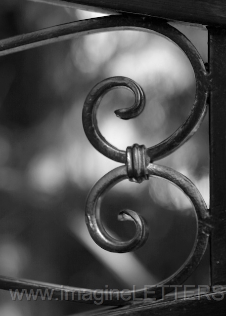 Wall_Art_Alphabet_Photography_Art_ 262.jpg